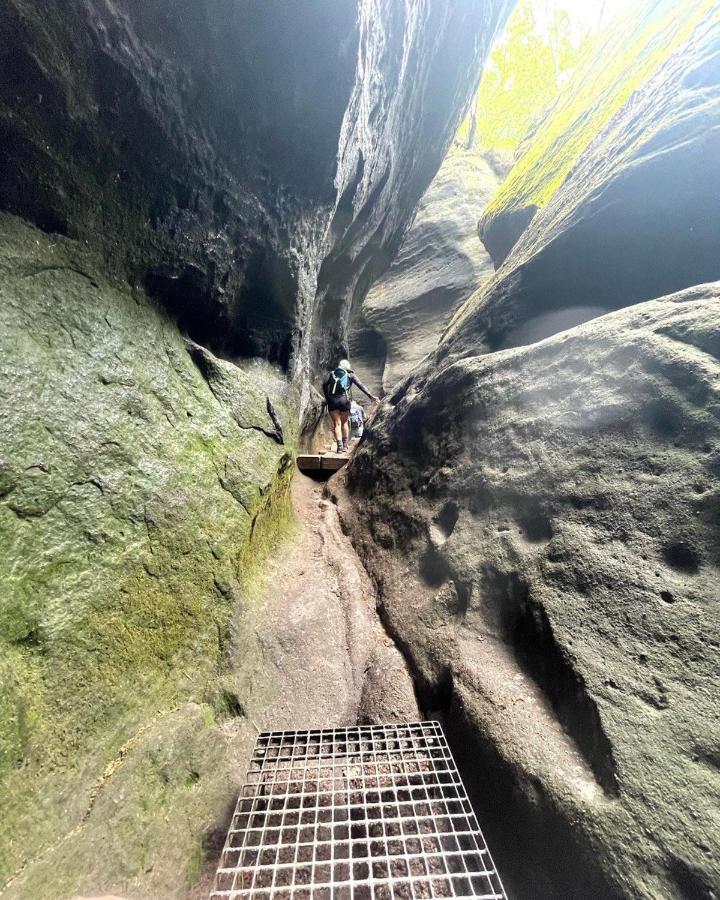Bergblick Apartment SäChsische Schweiz ゼーブニッツ エクステリア 写真