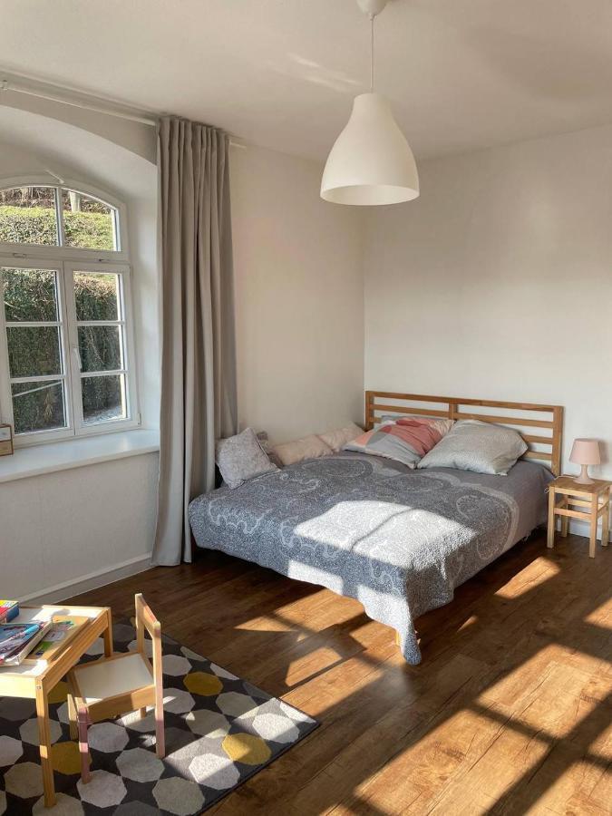 Bergblick Apartment SäChsische Schweiz ゼーブニッツ エクステリア 写真